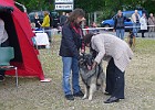 Picasa  Was wird das ?!?! Atreju juni 2012